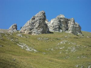 Roure