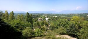 Conegliano