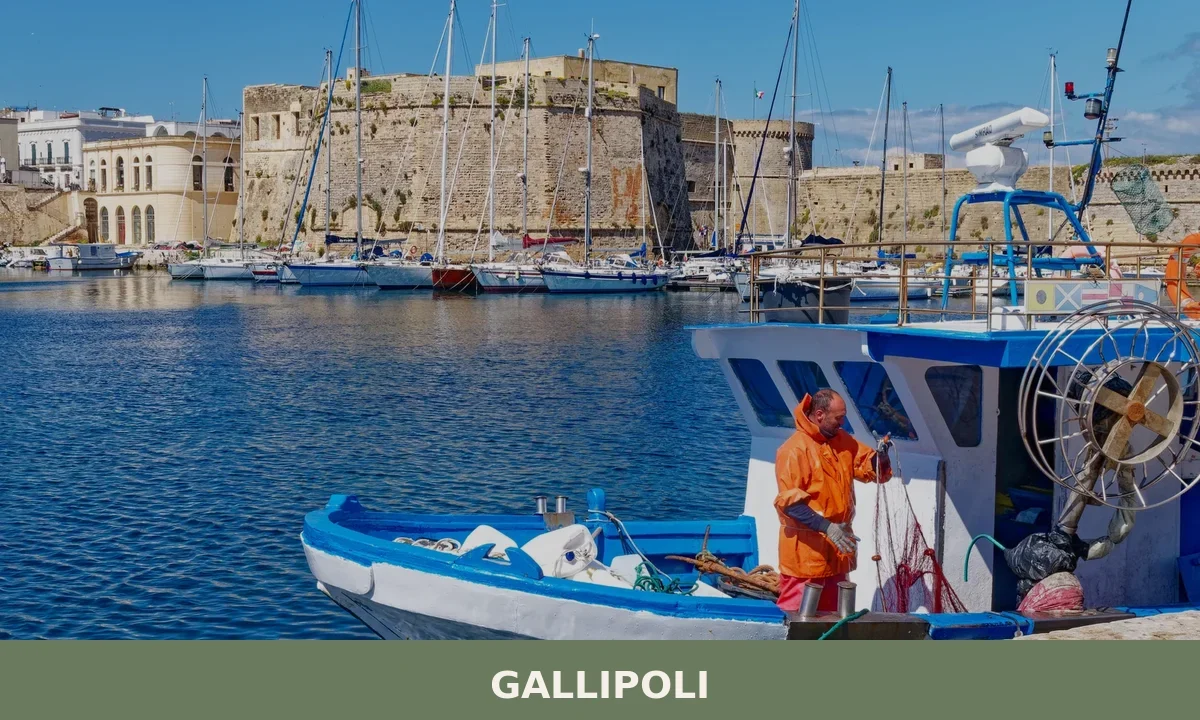 Gallipoli