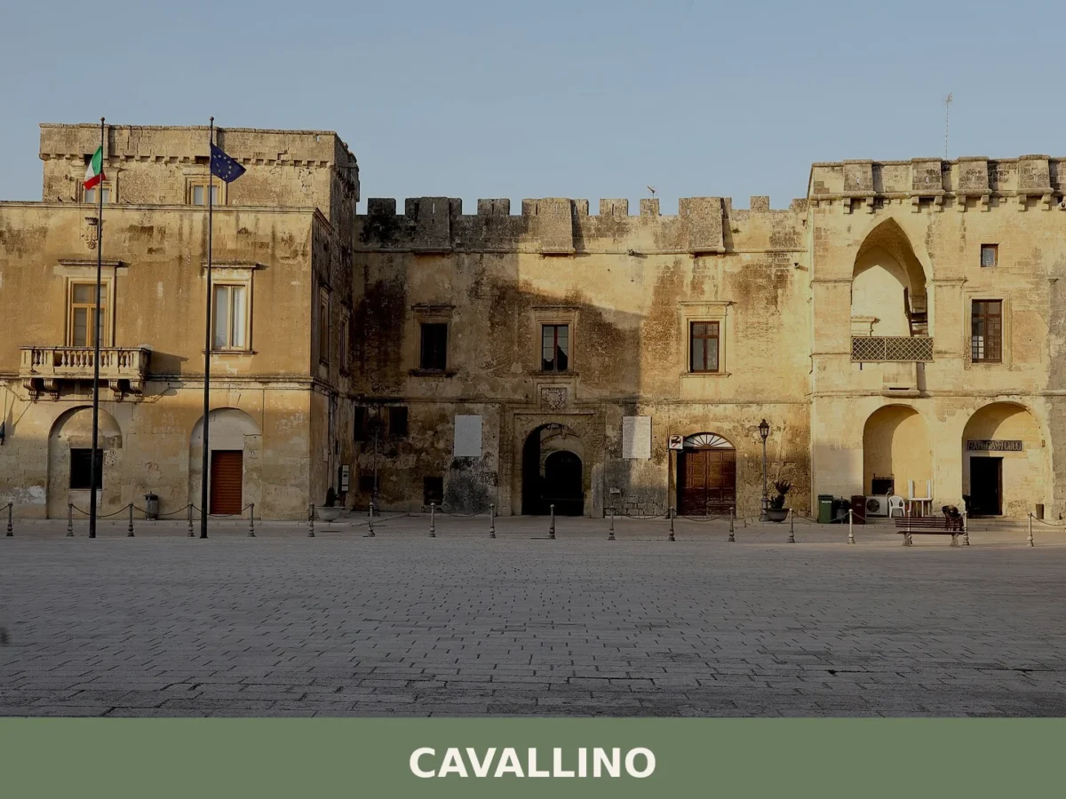 Cavallino