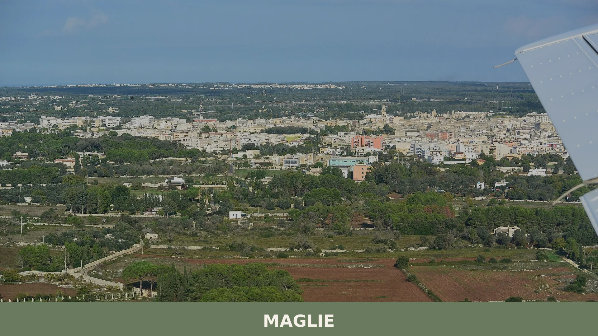 Maglie