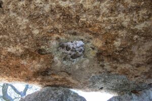 Minervino di Lecce