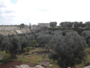 Melpignano