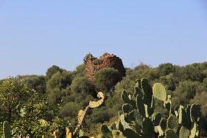 Bauladu borgo in Sardegna