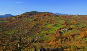 Fornelli borgo in Molise