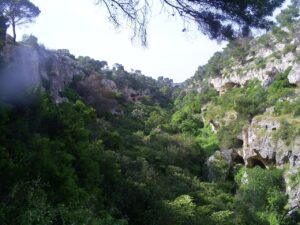 Mottola