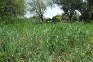 Magione borgo in Umbria