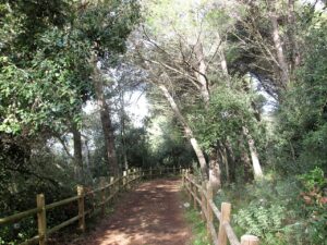Poggiardo borgo in Puglia