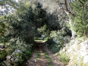 Poggiardo borgo in Puglia