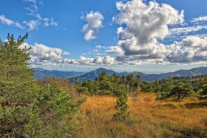 Campomorone borgo in Liguria