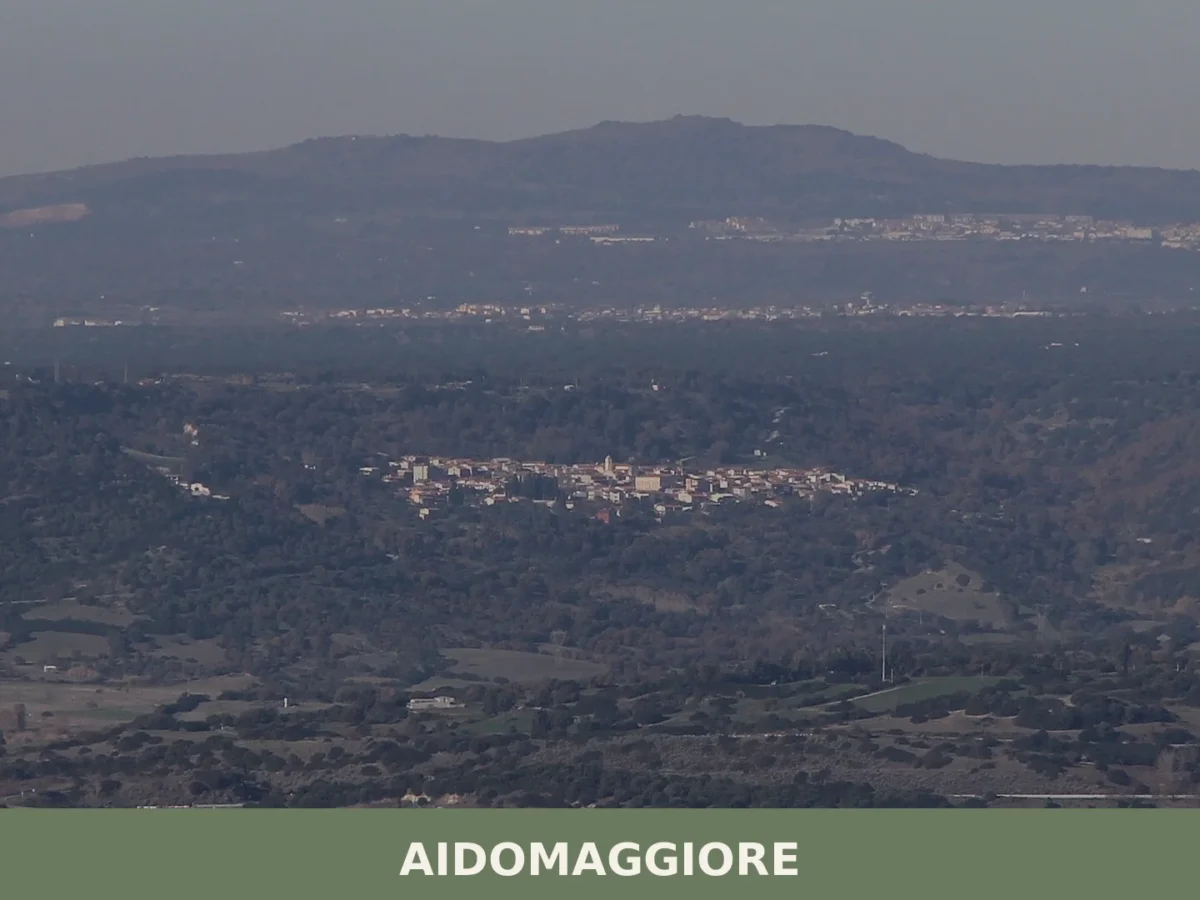 Aidomaggiore
