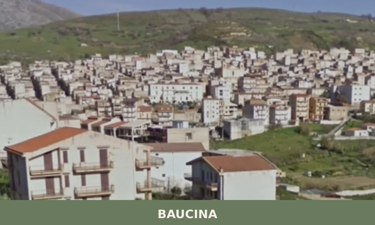 Baucina