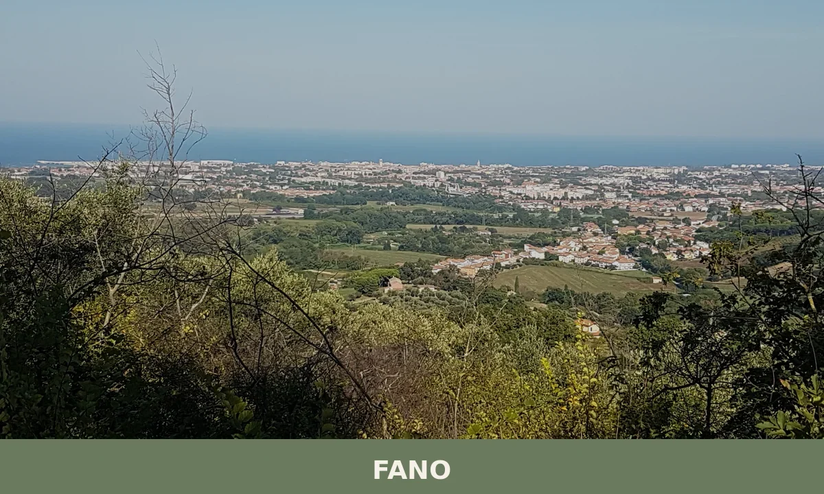 Fano