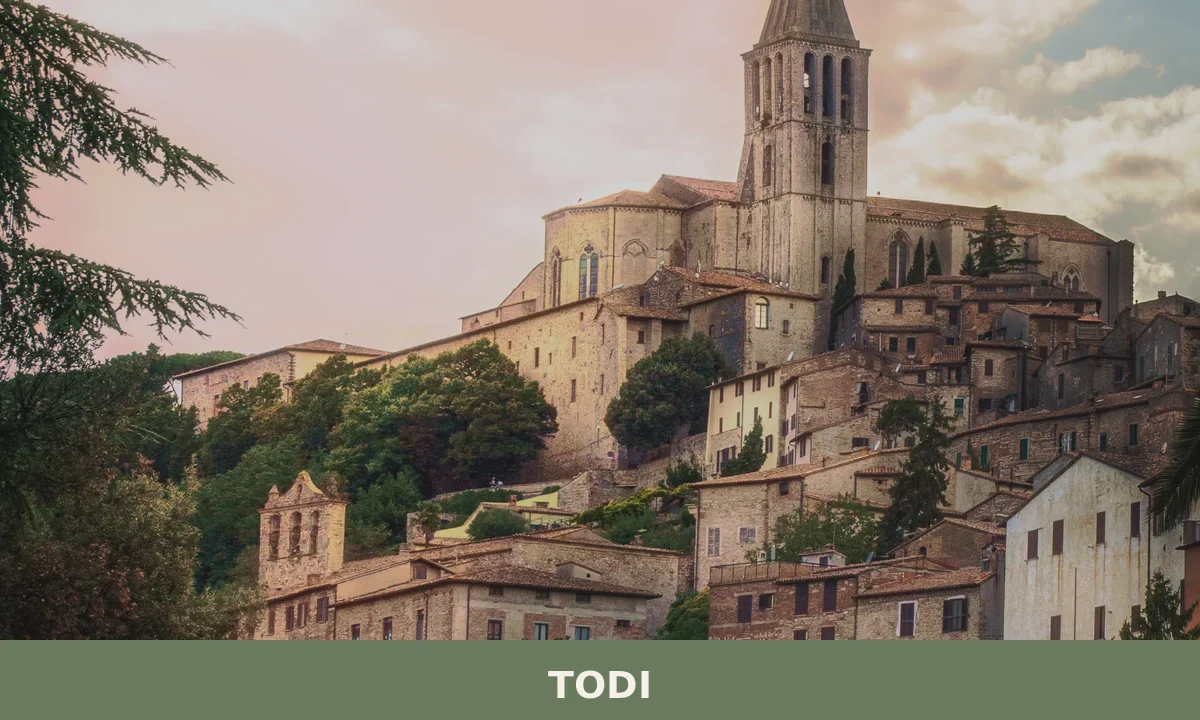 Todi