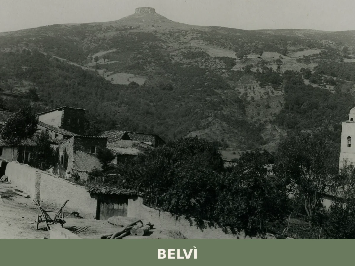 Belvì