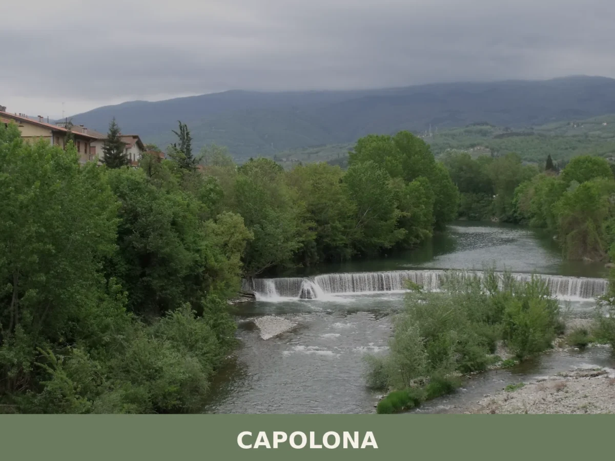 Capolona