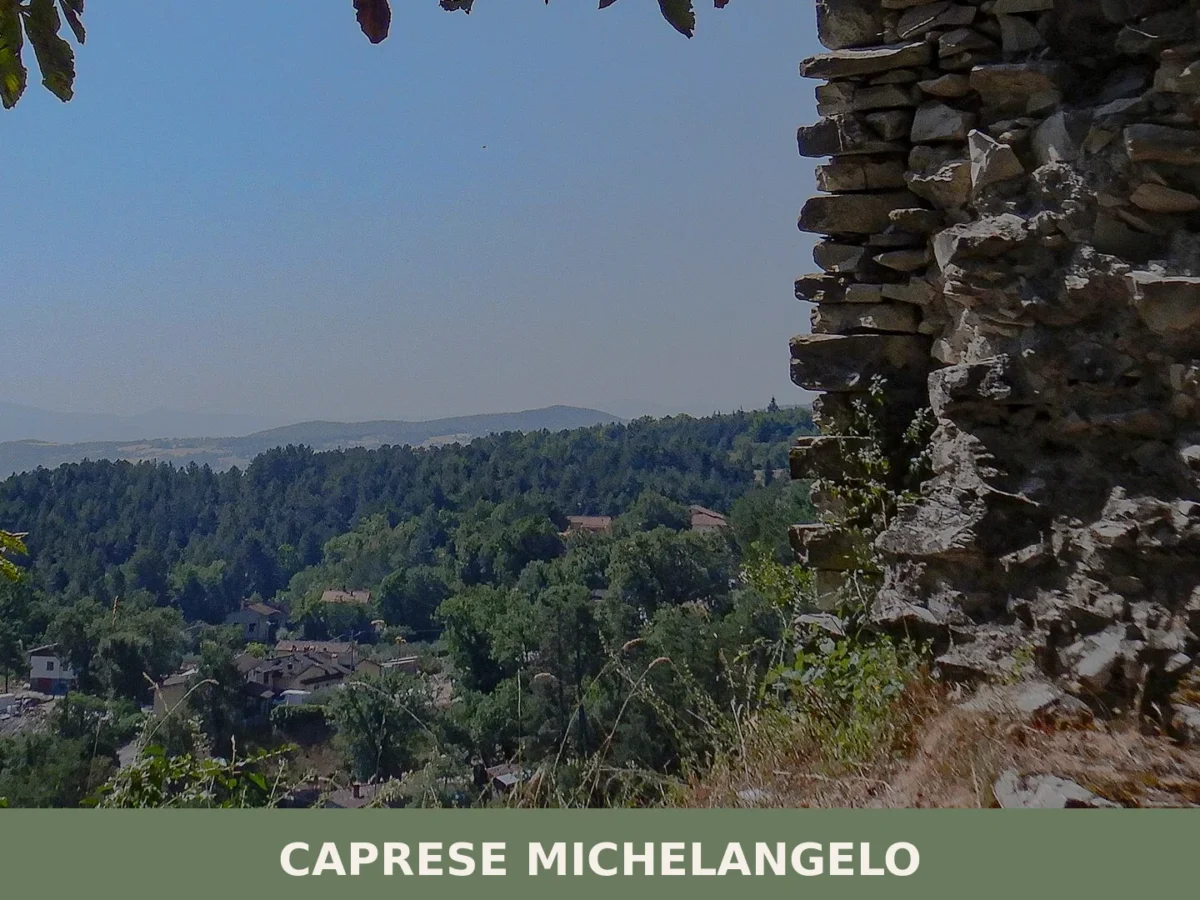 Caprese Michelangelo