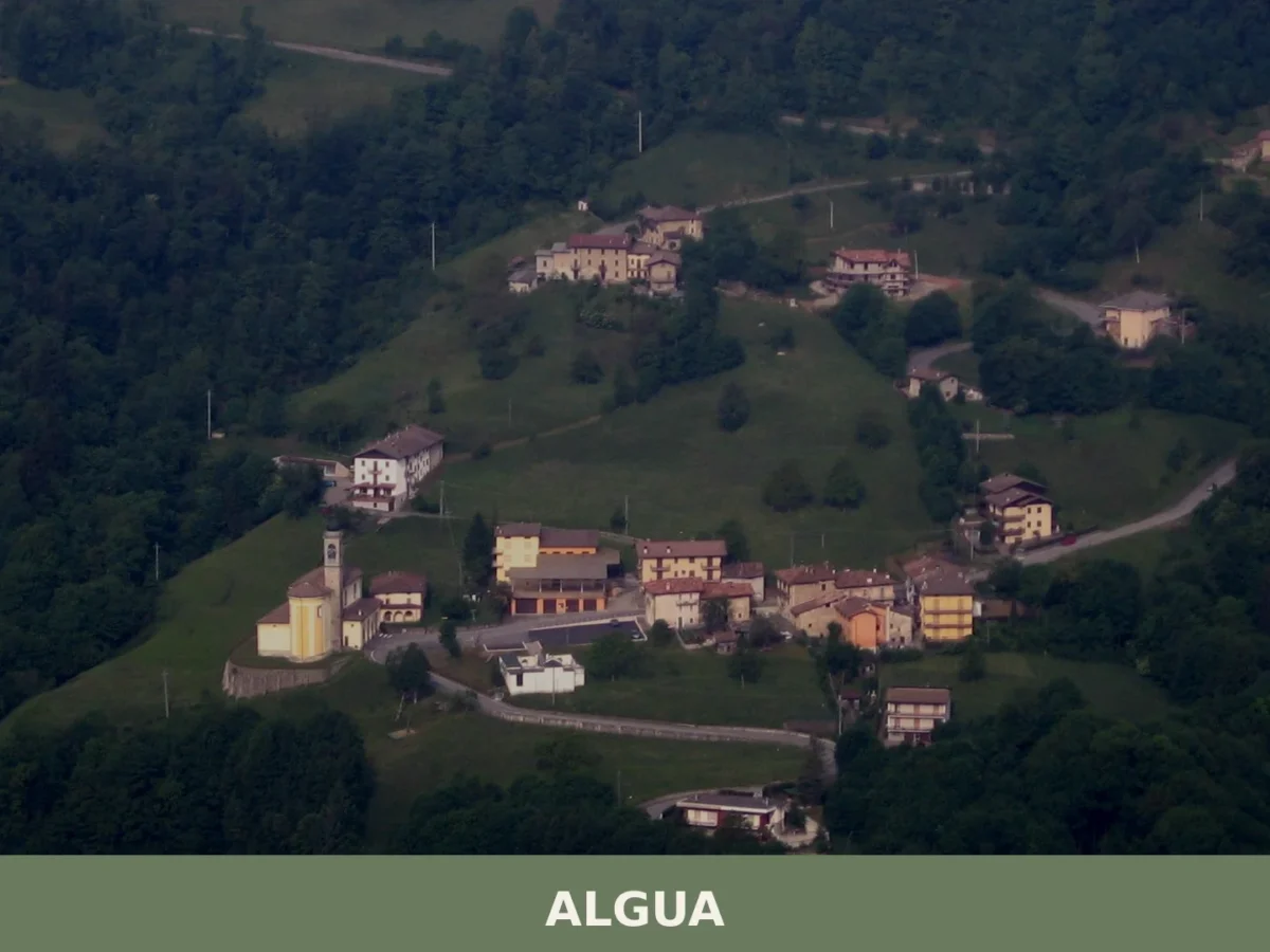 Algua