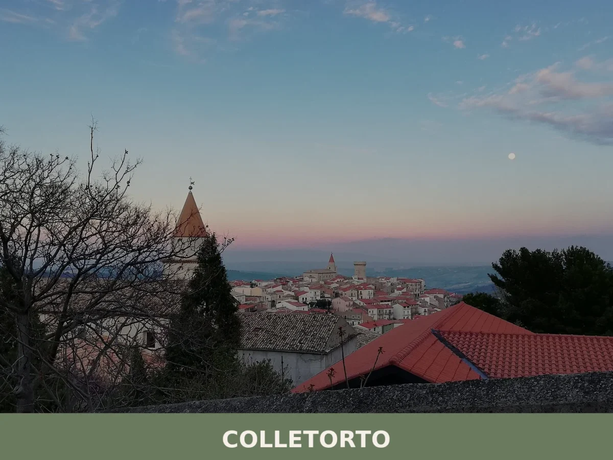 Colletorto