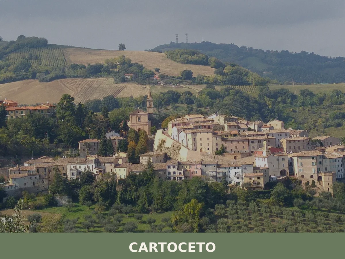 Cartoceto