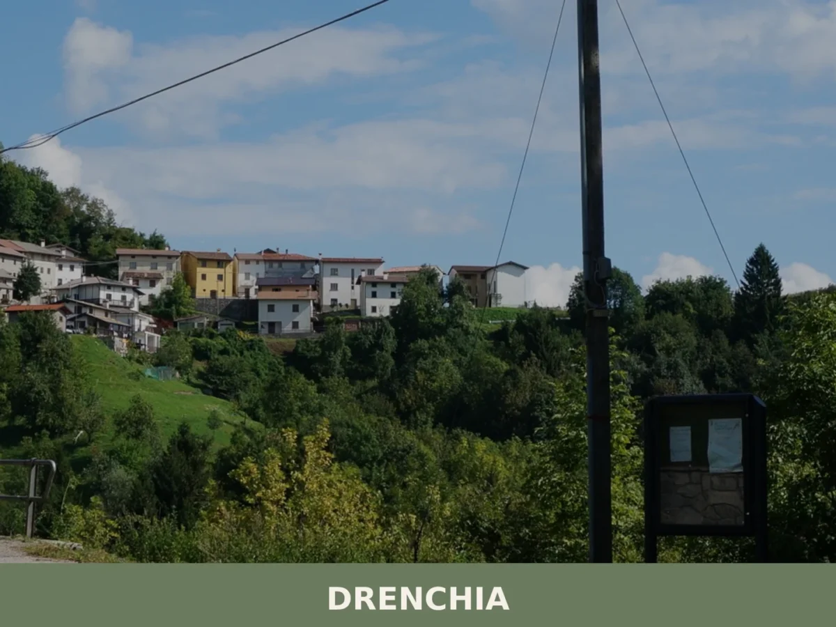Drenchia