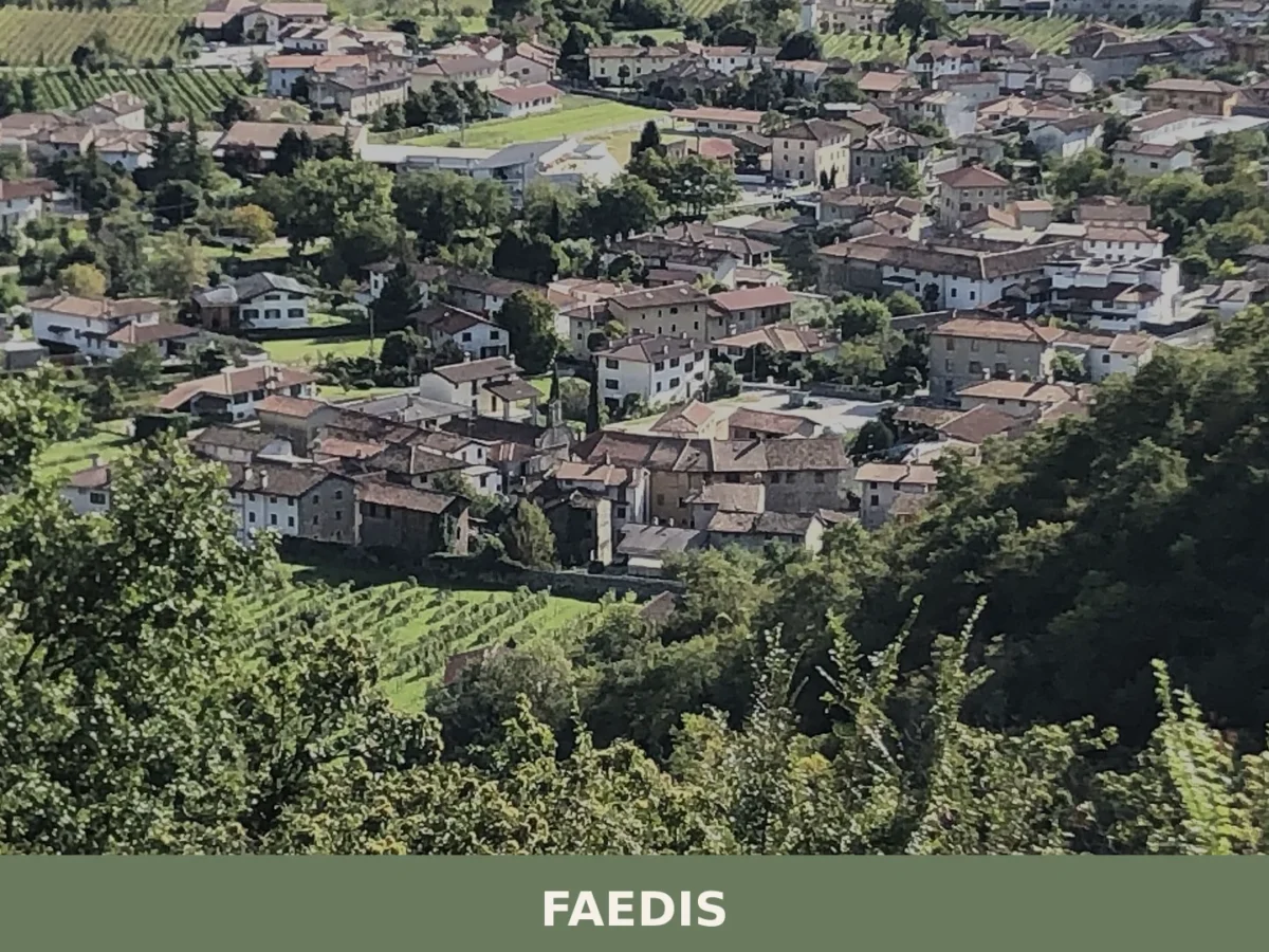 Faedis