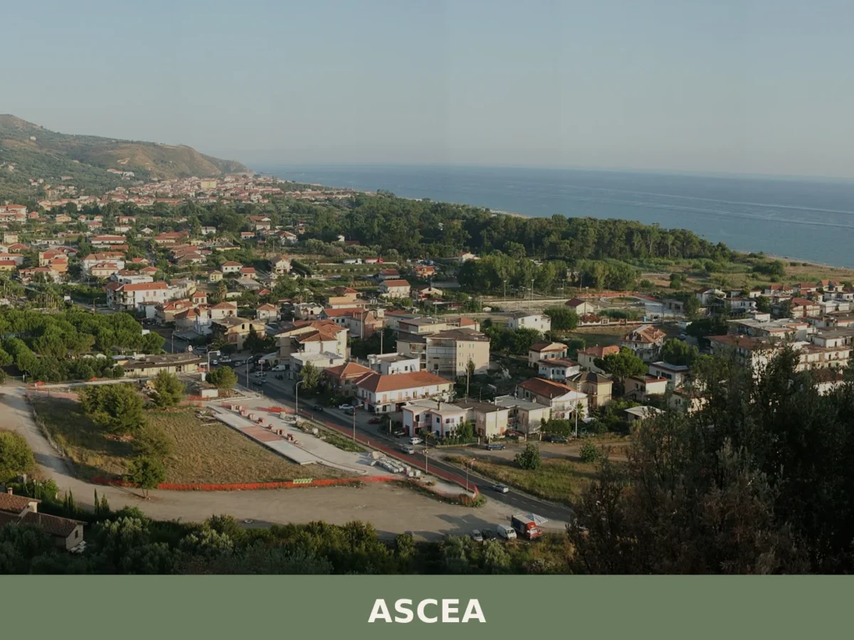 Ascea