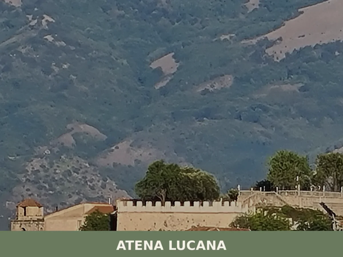 Atena Lucana