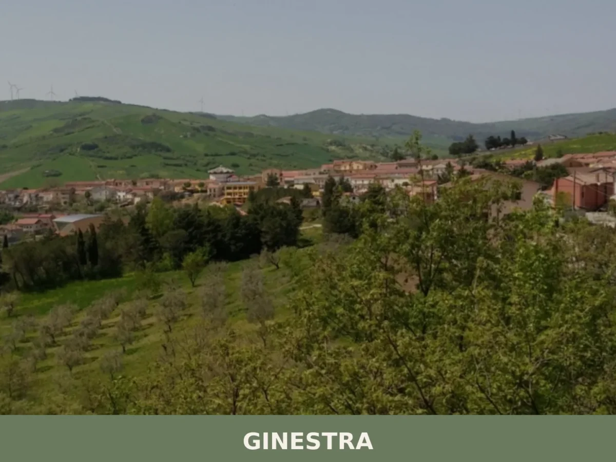 Ginestra