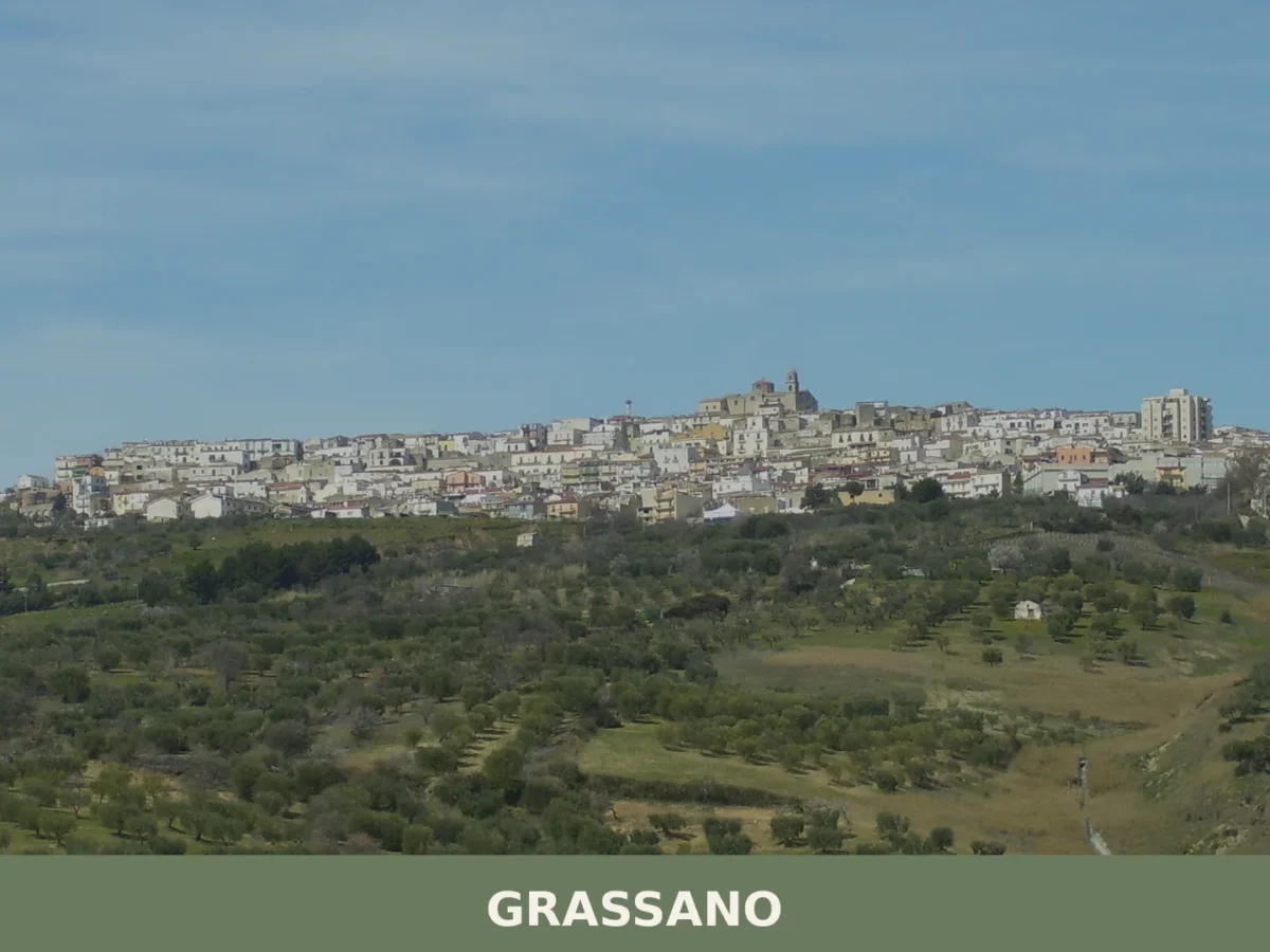 Grassano