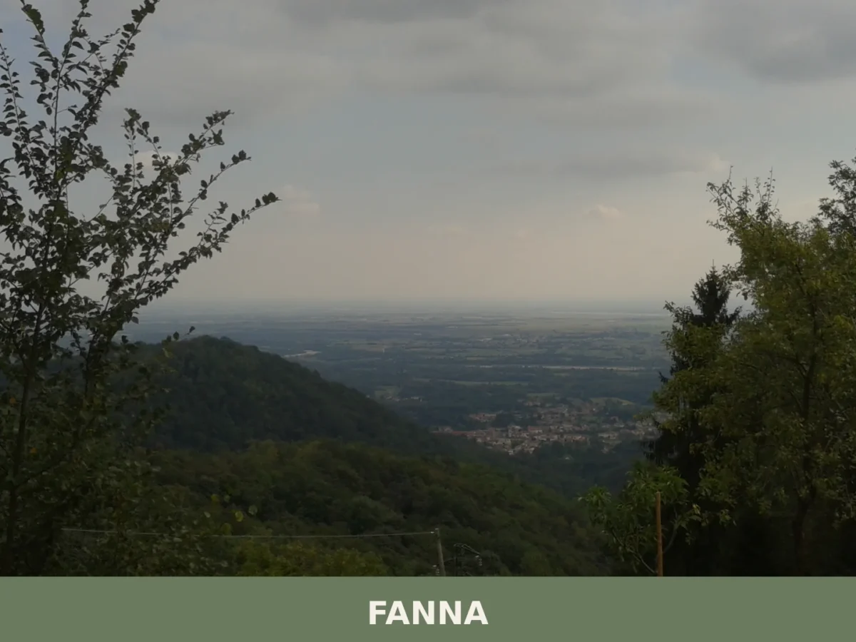 Fanna