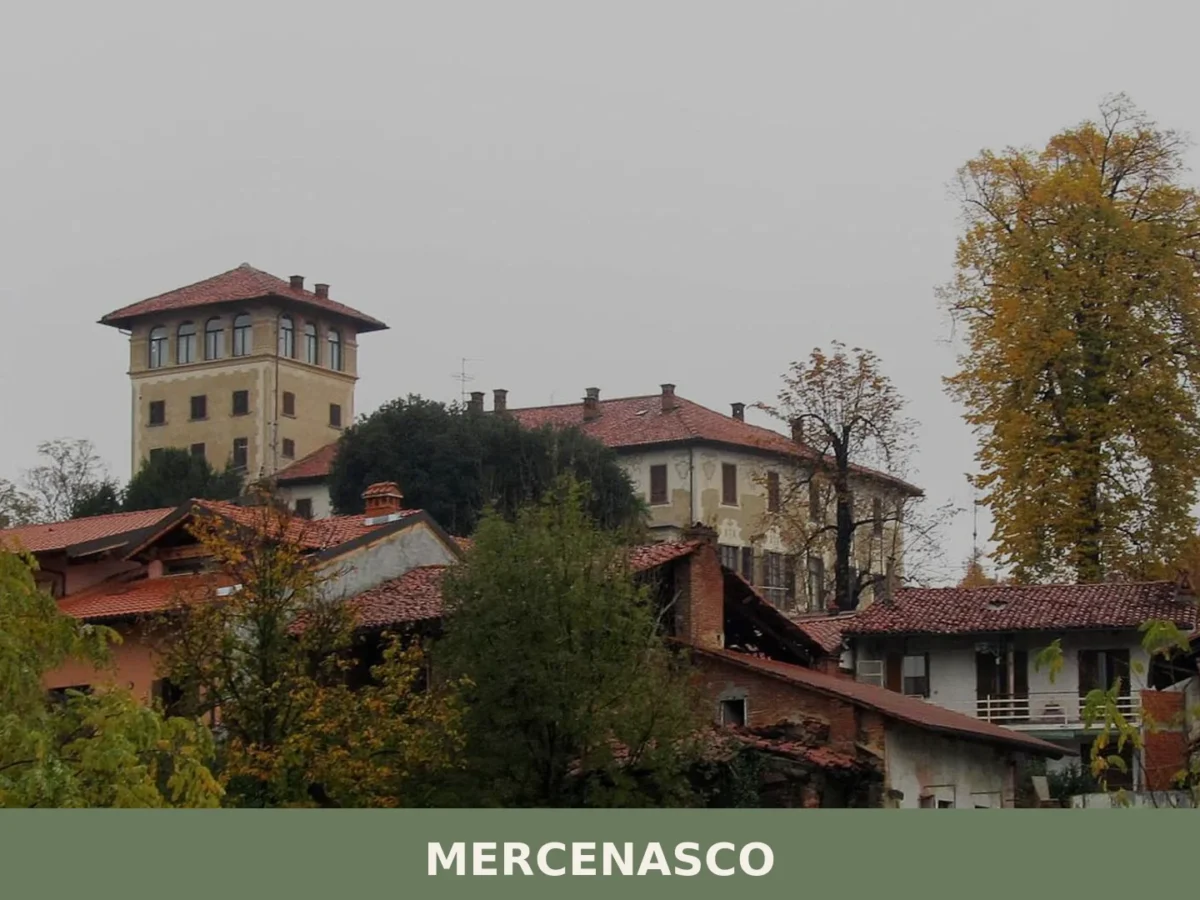 Mercenasco