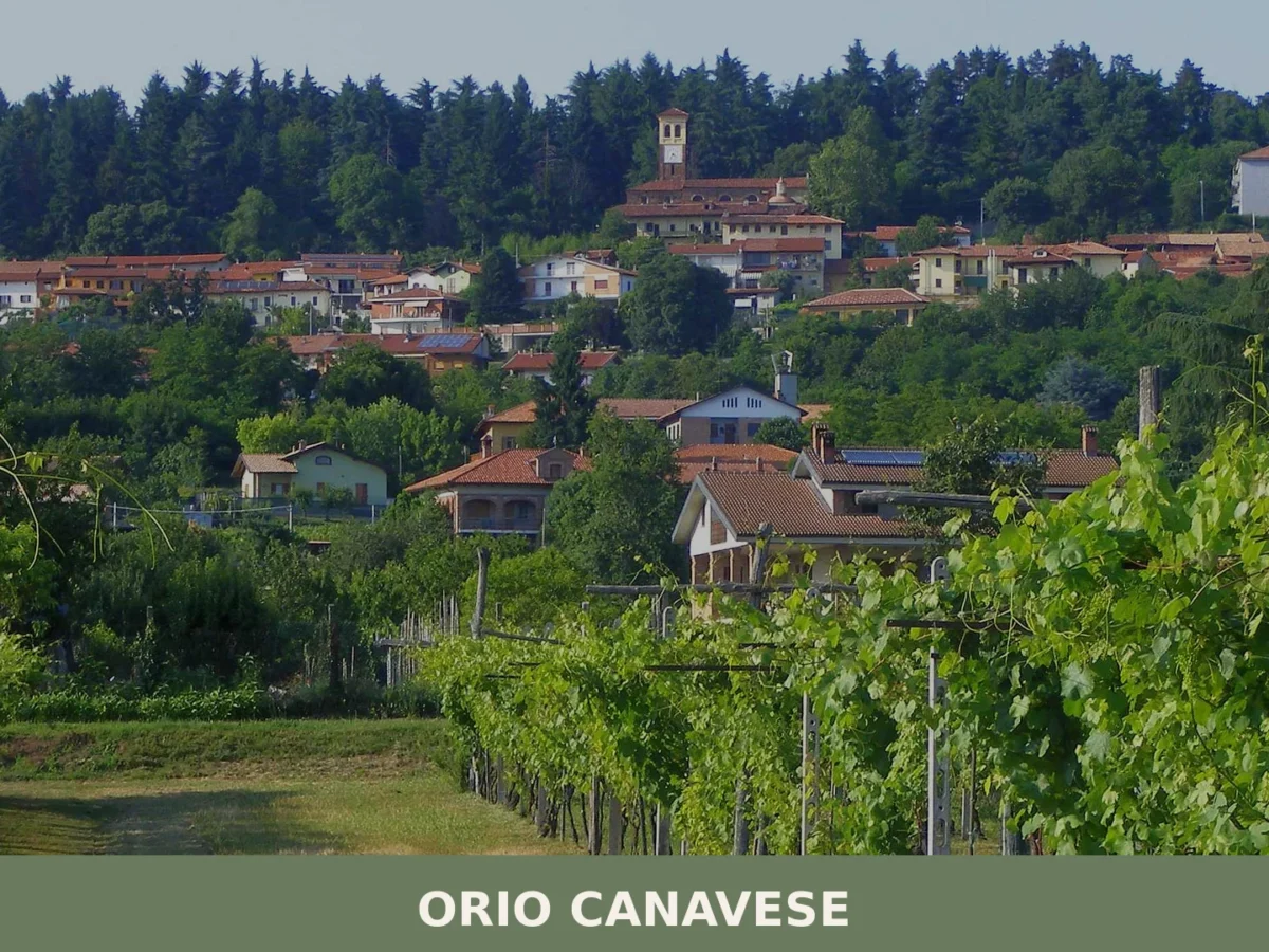 Orio Canavese